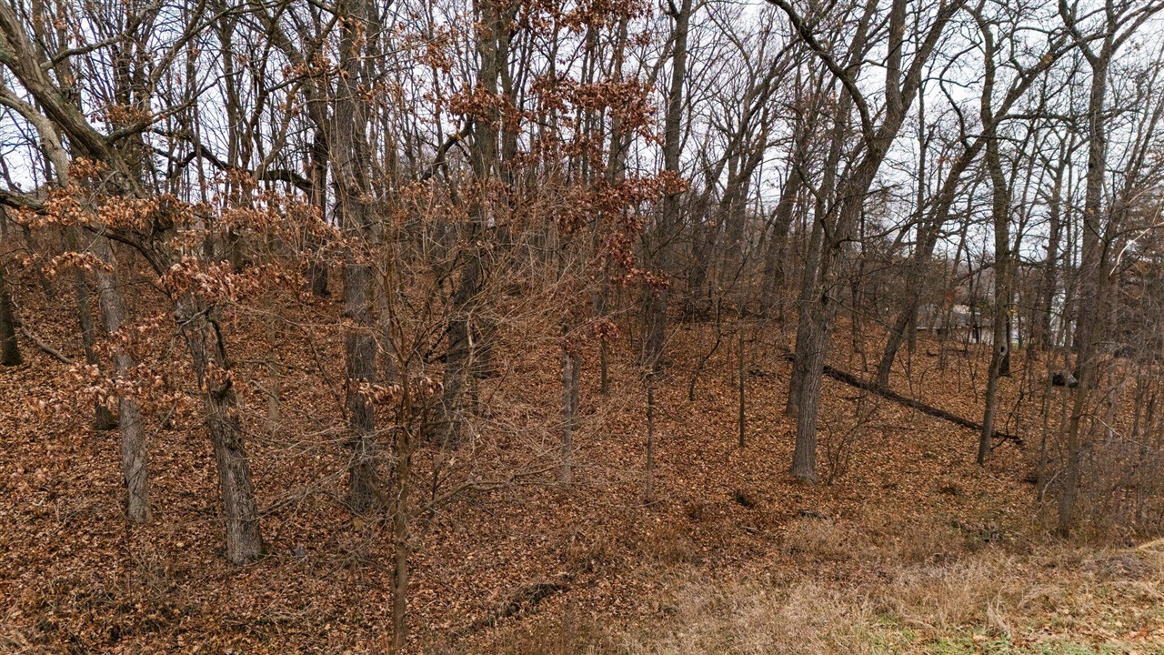 Homes for sale in Chelsea, MI | 893 Ridge Rd, Chelsea, MI 48118 | MLS# 70514865