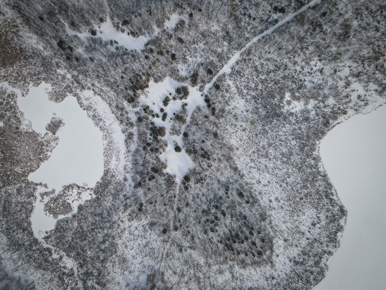 5100 Long Lake Road, Reading, MI, 49274-9787