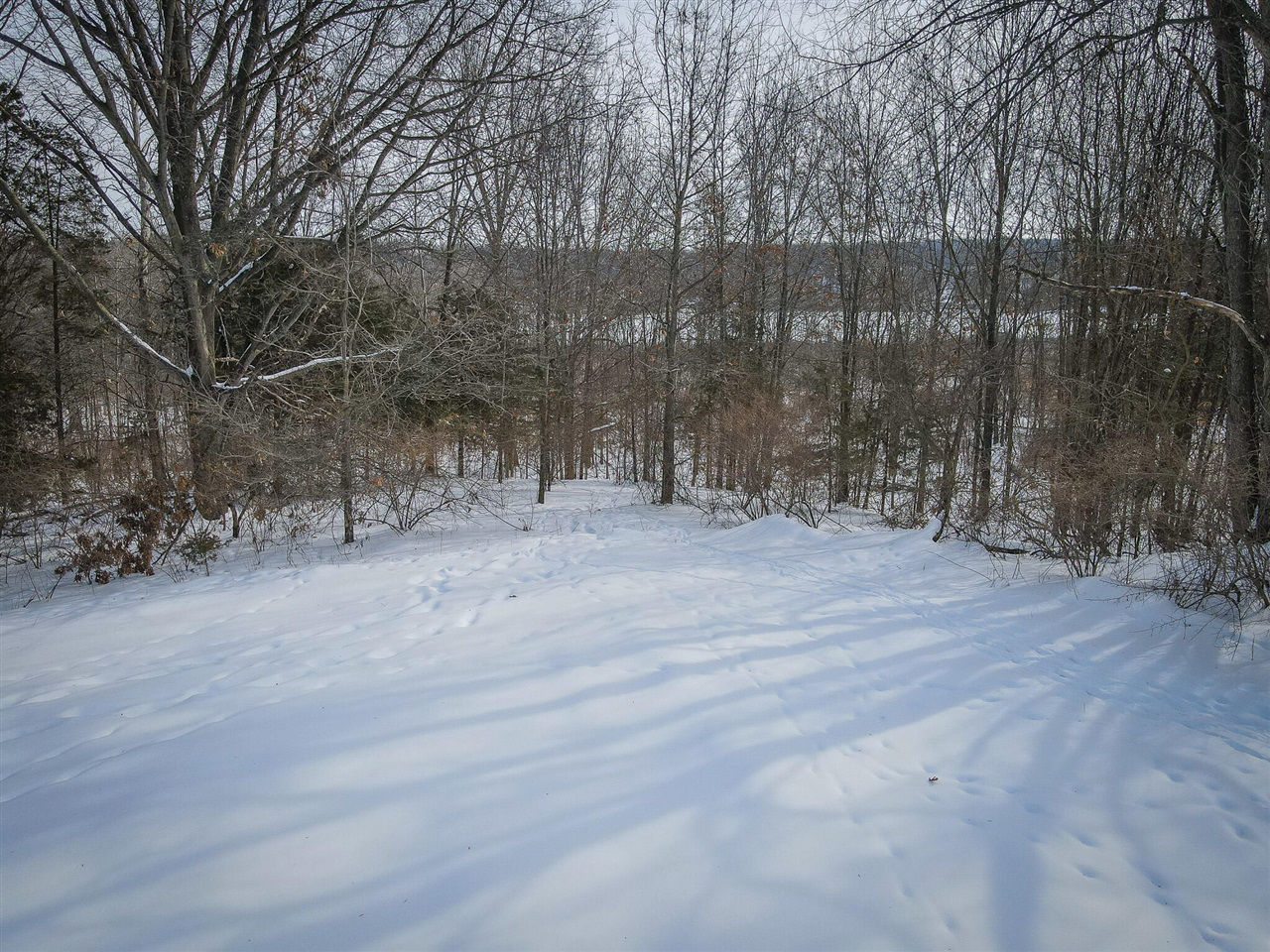 5100 Long Lake Road, Reading, MI, 49274-9787