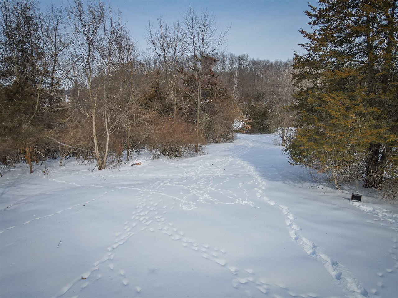 5100 Long Lake Road, Reading, MI, 49274-9787