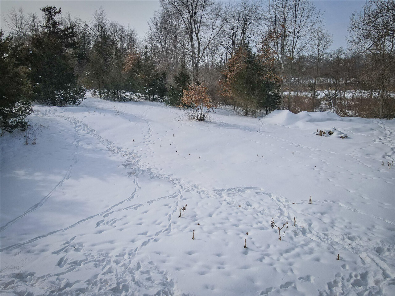 5100 Long Lake Road, Reading, MI, 49274-9787