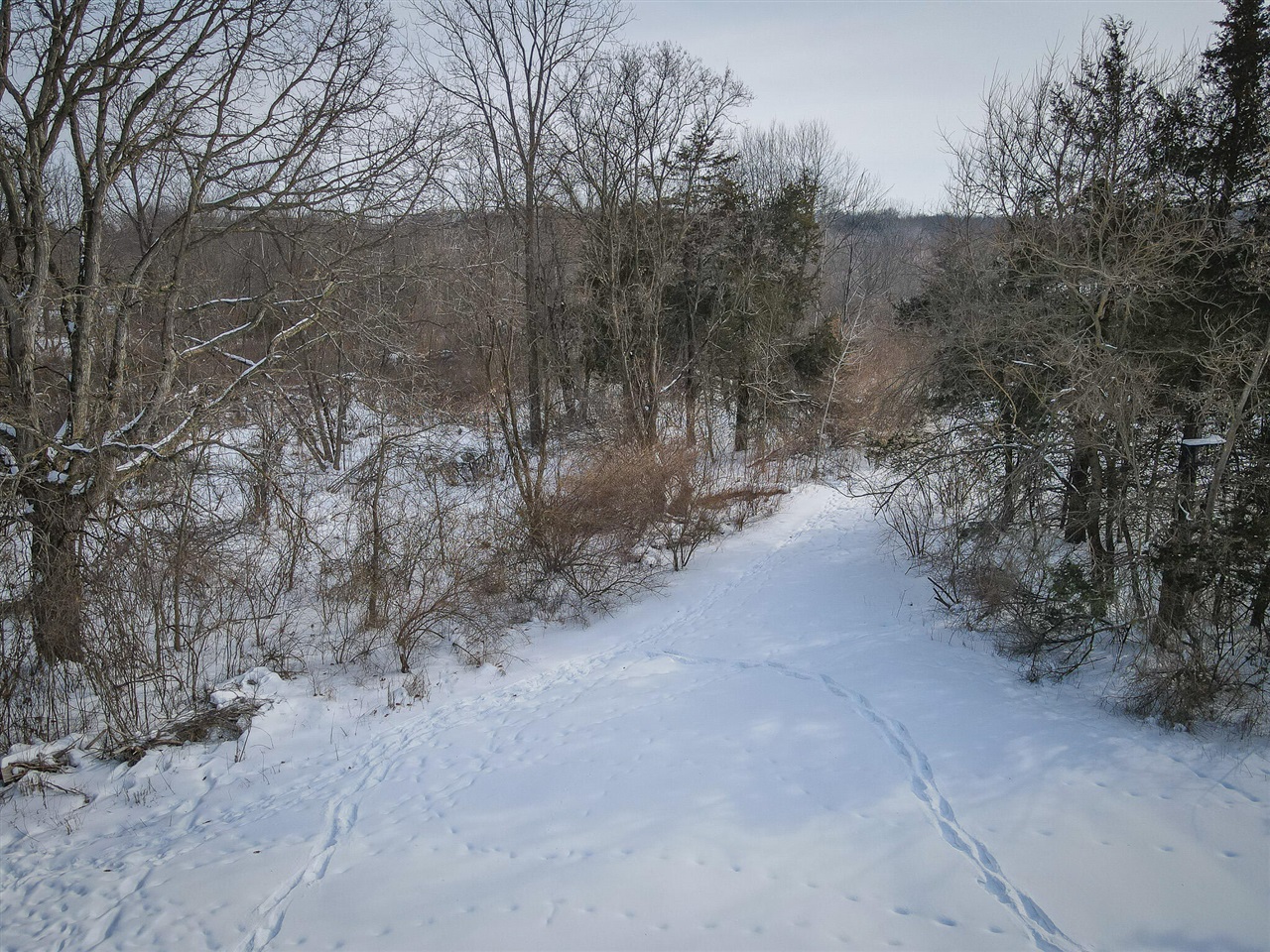 5100 Long Lake Road, Reading, MI, 49274-9787