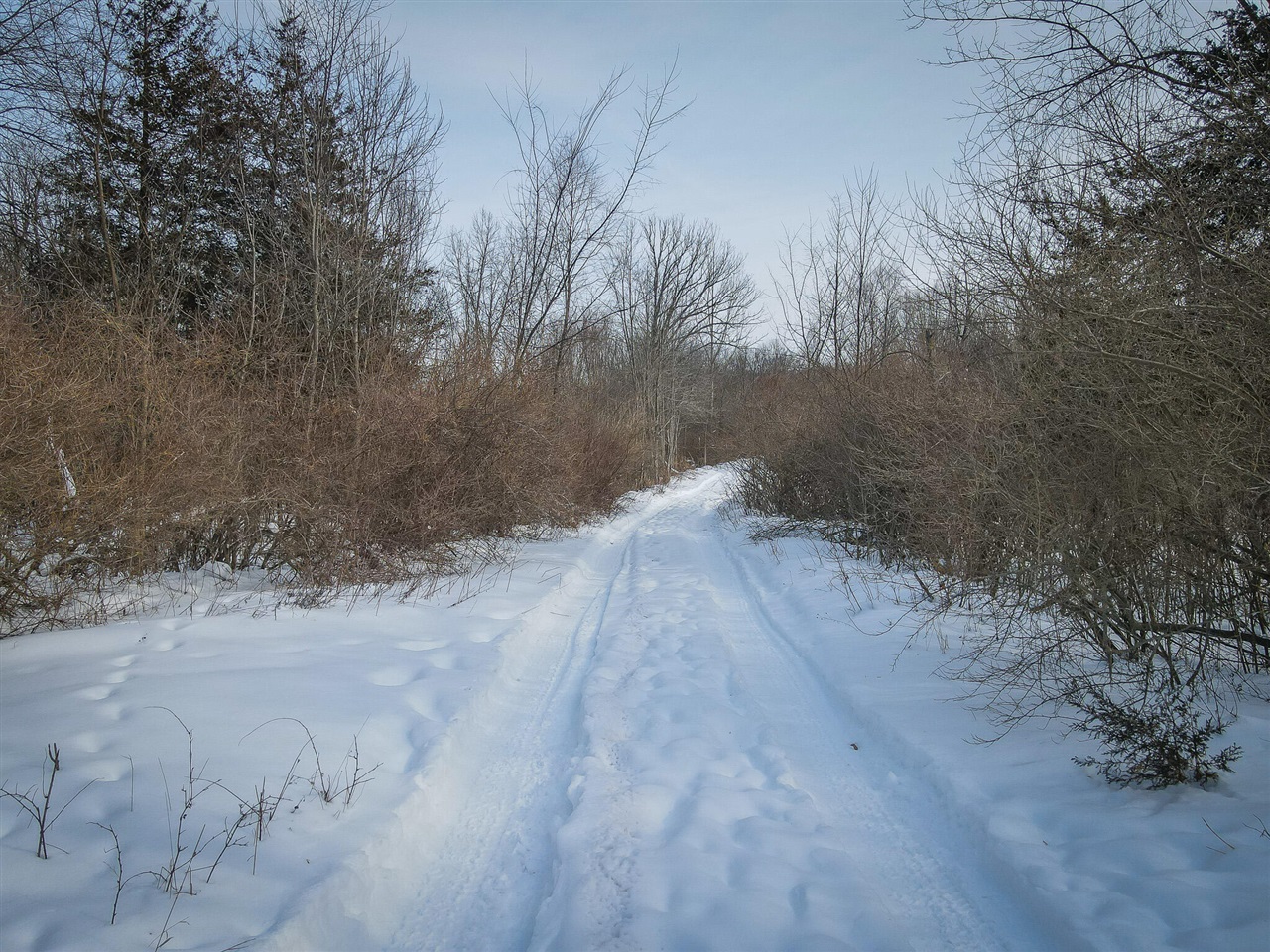 5100 Long Lake Road, Reading, MI, 49274-9787