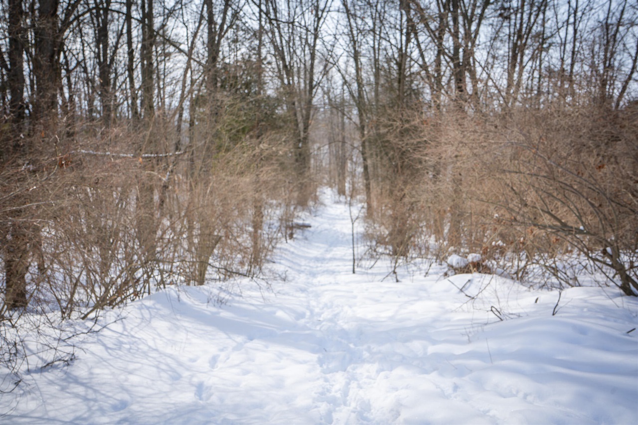 5100 Long Lake Road, Reading, MI, 49274-9787