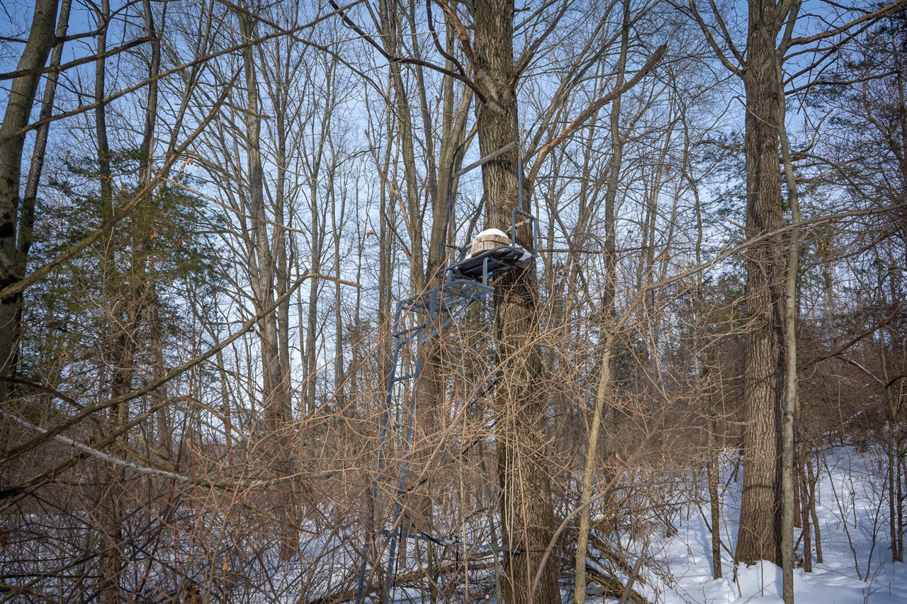 5100 Long Lake Road, Reading, MI, 49274-9787