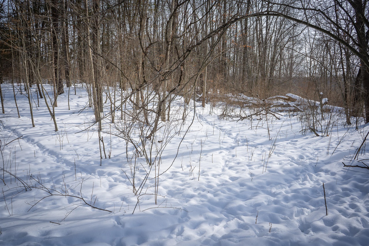 5100 Long Lake Road, Reading, MI, 49274-9787