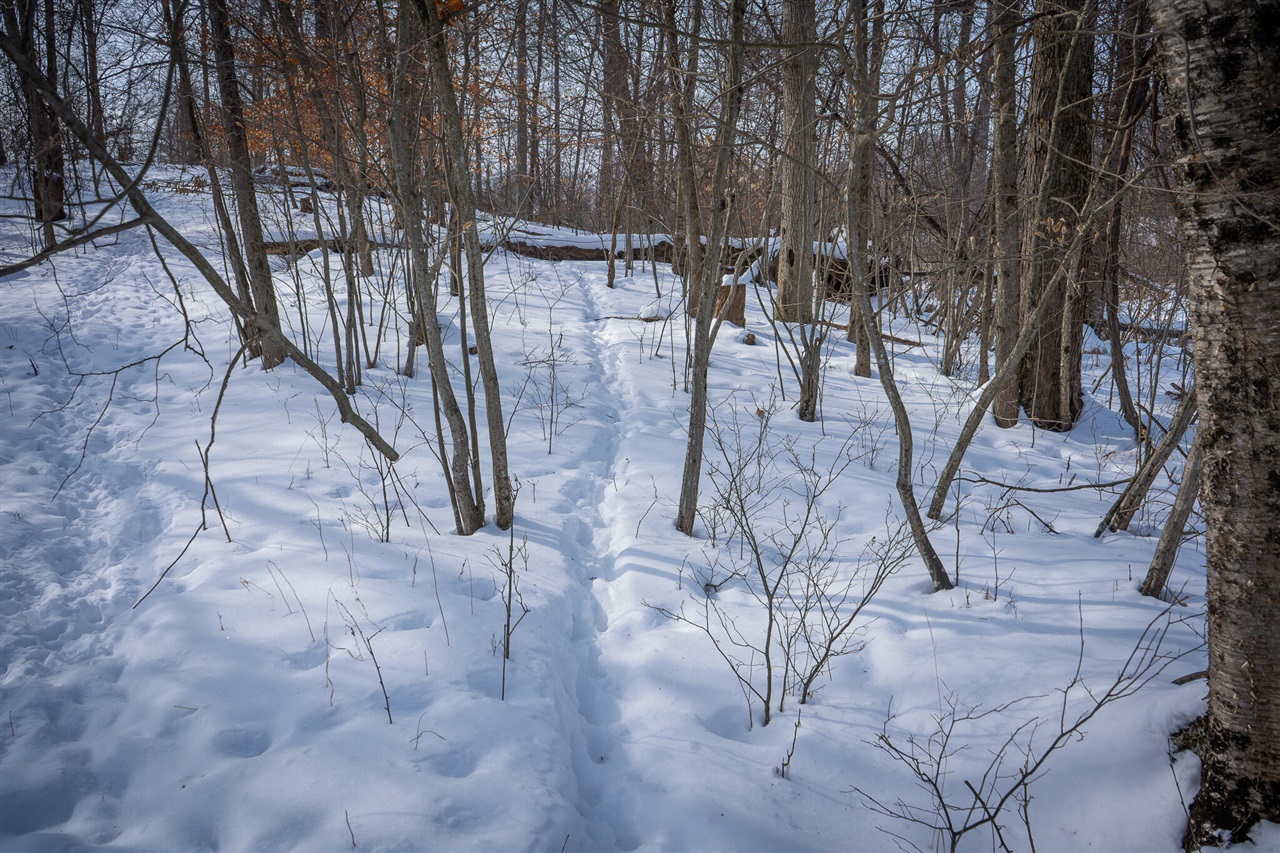 5100 Long Lake Road, Reading, MI, 49274-9787