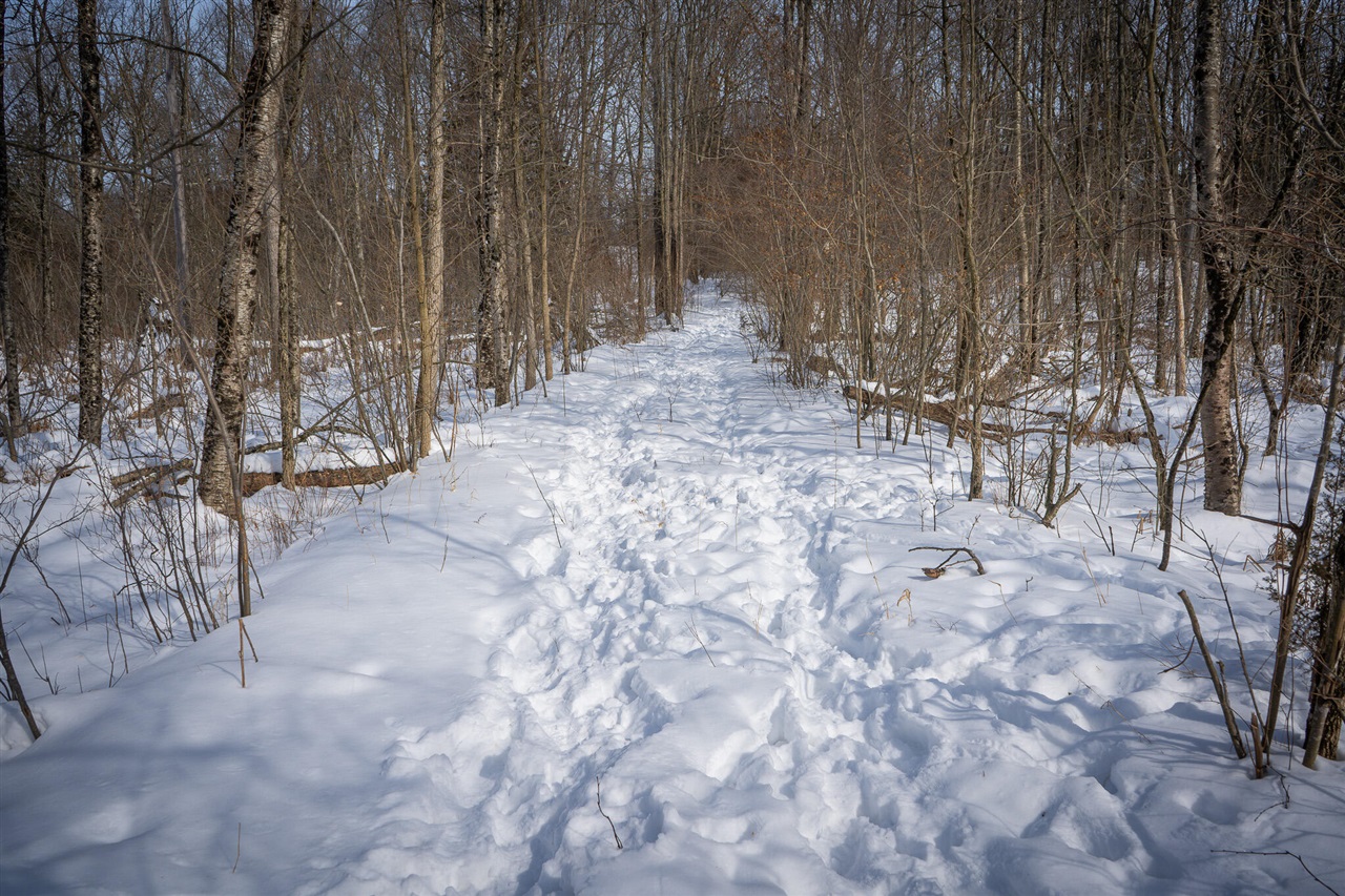 5100 Long Lake Road, Reading, MI, 49274-9787