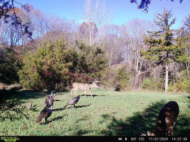 5100 Long Lake Road, Reading, MI, 49274-9787