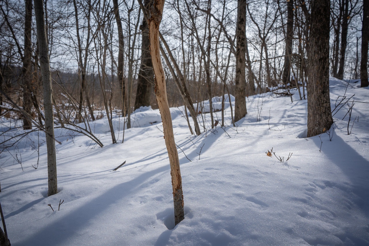 5100 Long Lake Road, Reading, MI, 49274-9787