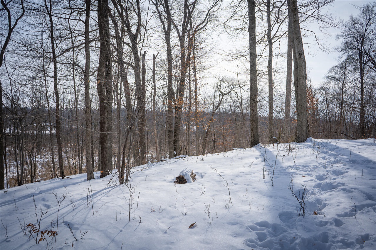 5100 Long Lake Road, Reading, MI, 49274-9787