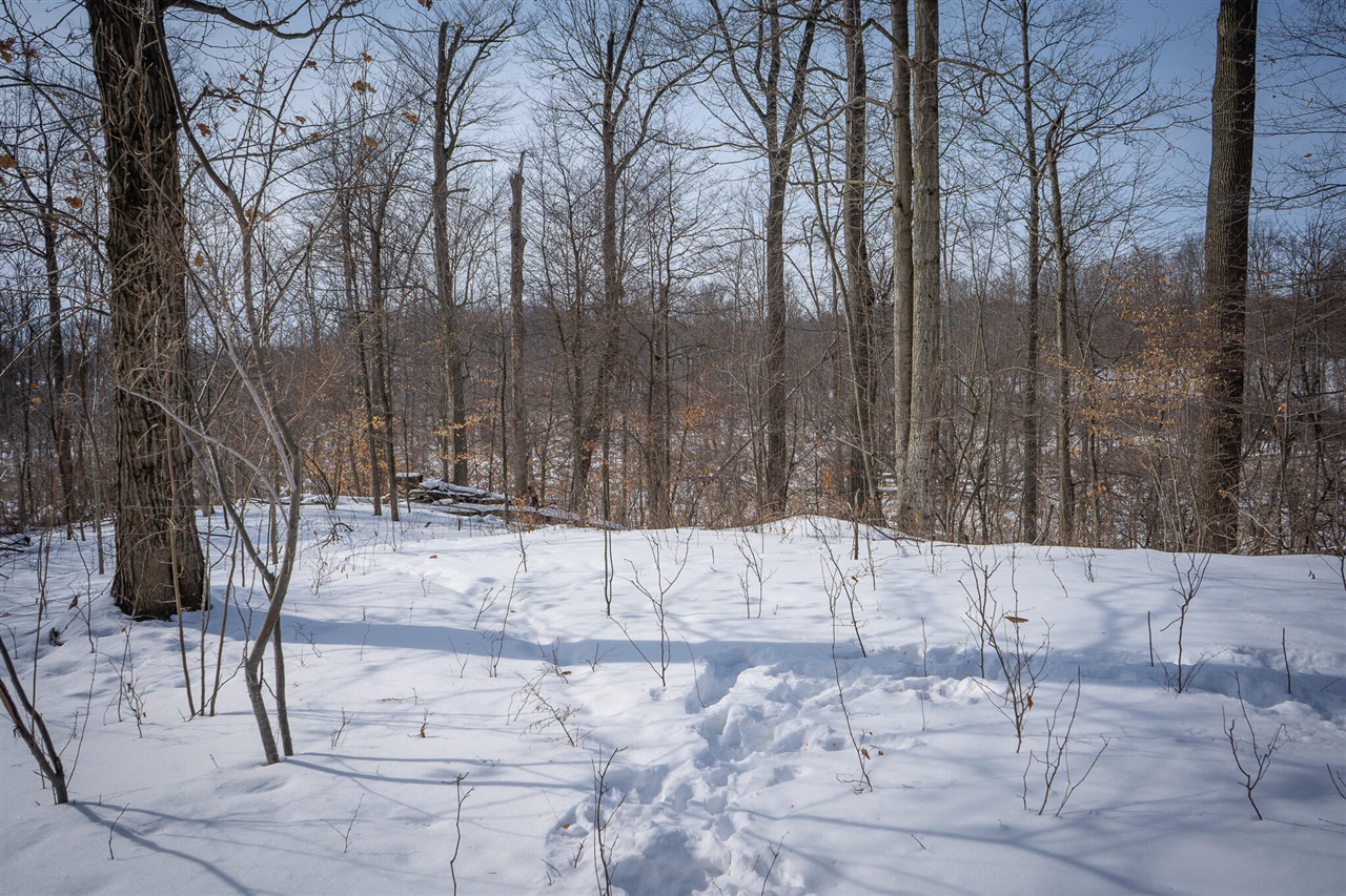 5100 Long Lake Road, Reading, MI, 49274-9787