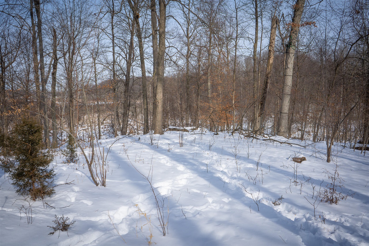 5100 Long Lake Road, Reading, MI, 49274-9787