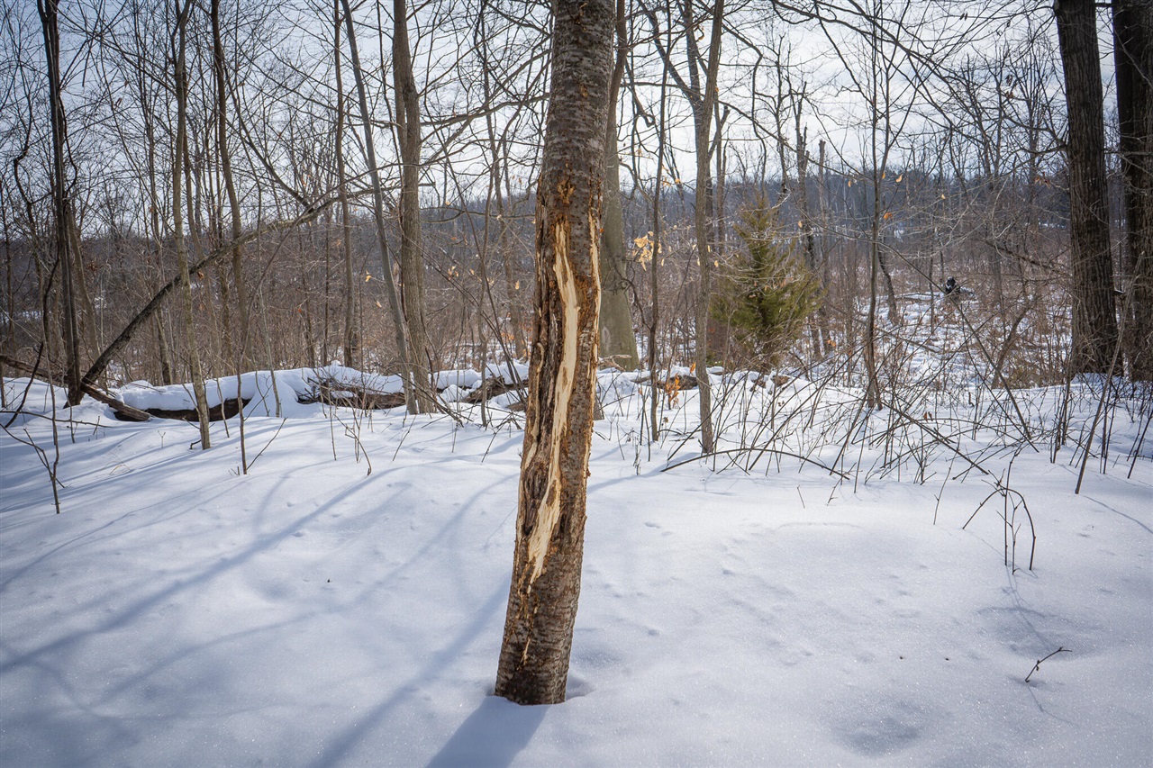 5100 Long Lake Road, Reading, MI, 49274-9787