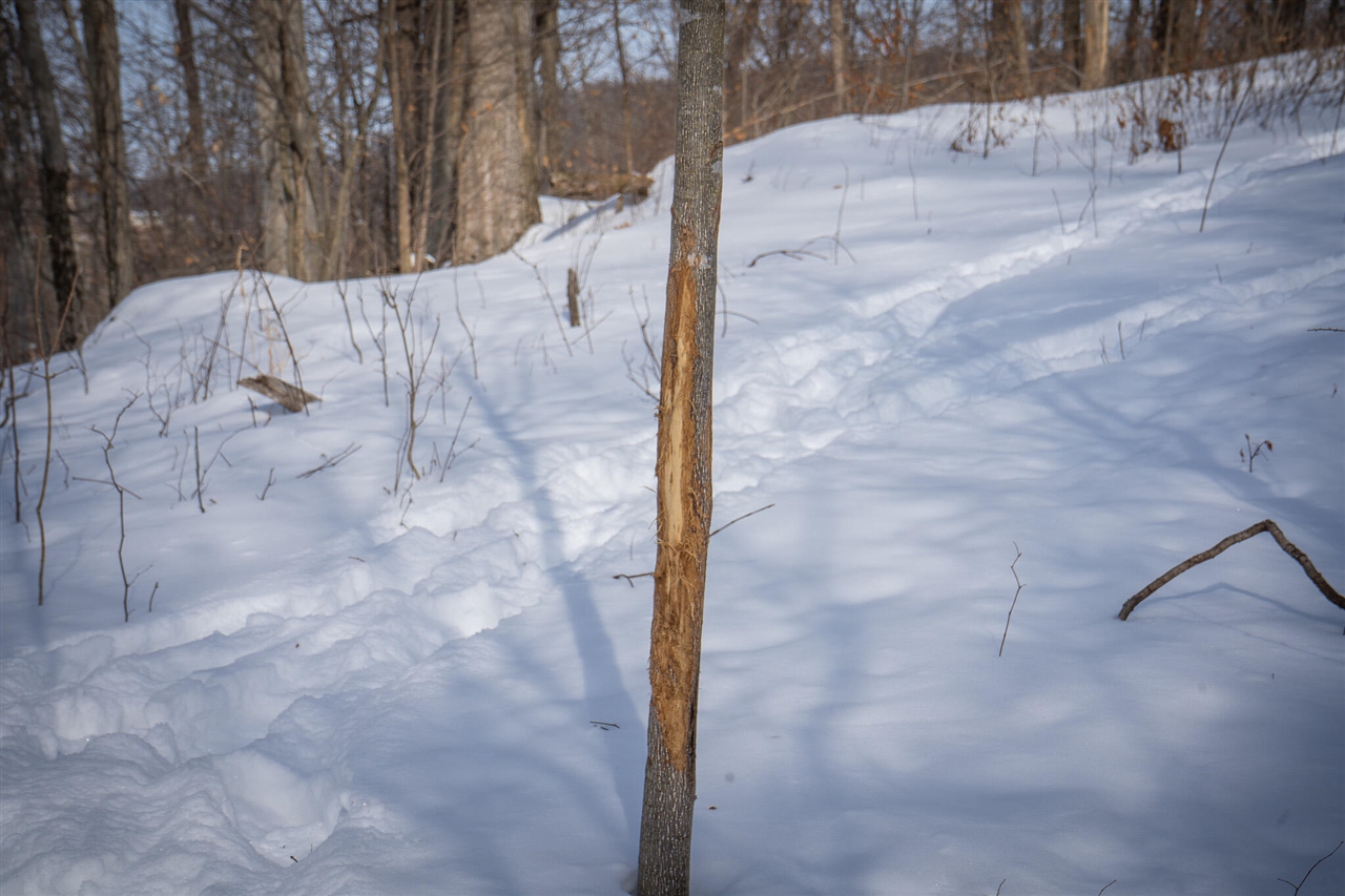 5100 Long Lake Road, Reading, MI, 49274-9787