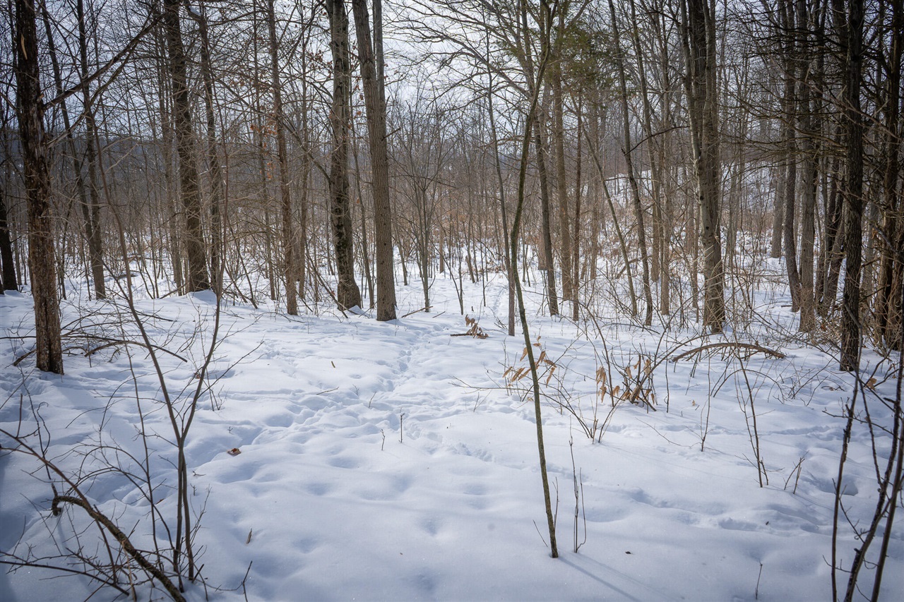 5100 Long Lake Road, Reading, MI, 49274-9787