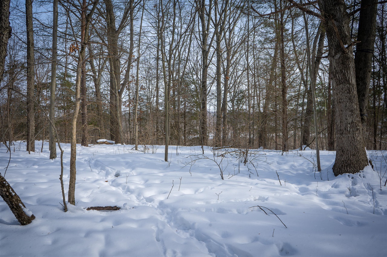 5100 Long Lake Road, Reading, MI, 49274-9787