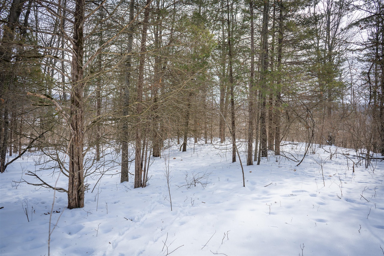 5100 Long Lake Road, Reading, MI, 49274-9787