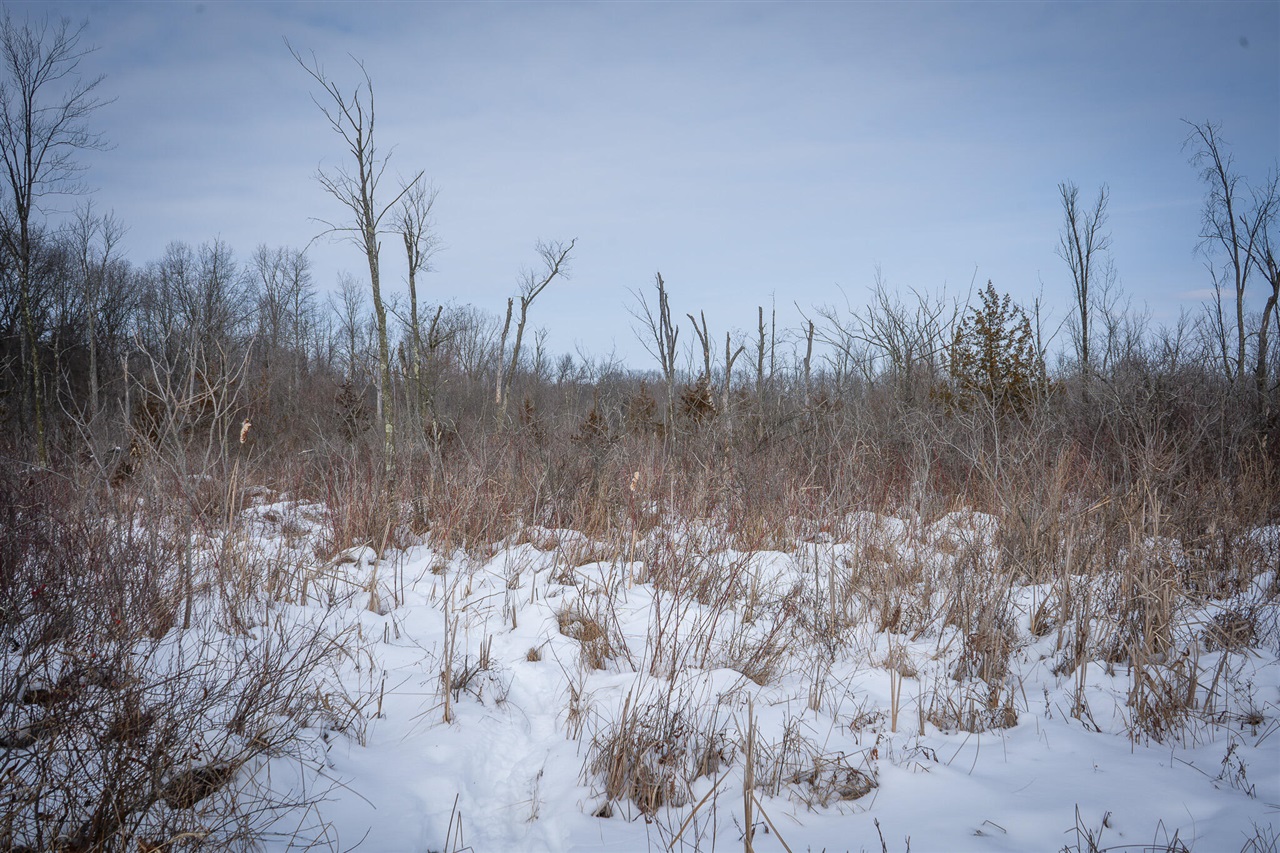 5100 Long Lake Road, Reading, MI, 49274-9787