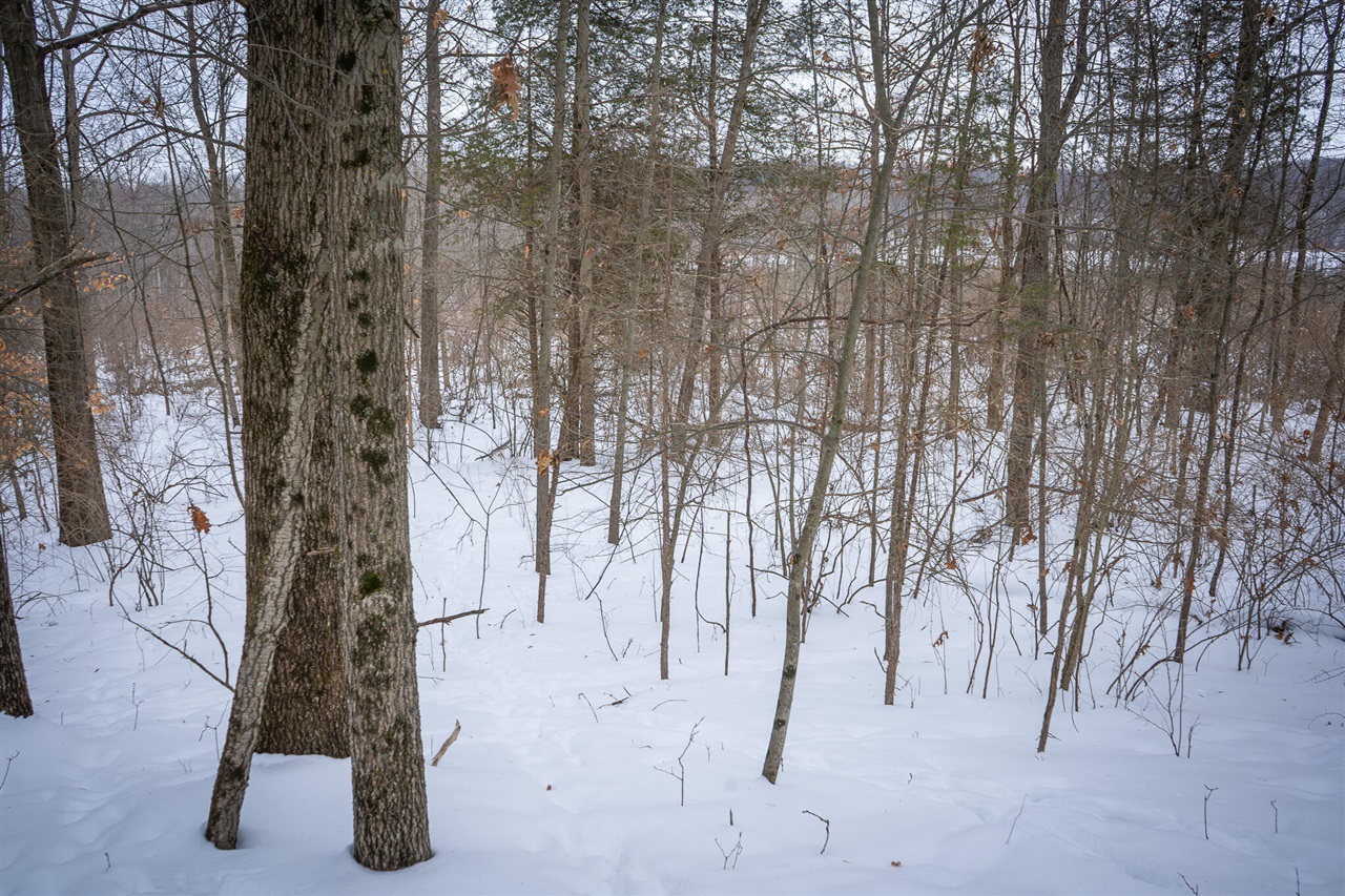 5100 Long Lake Road, Reading, MI, 49274-9787