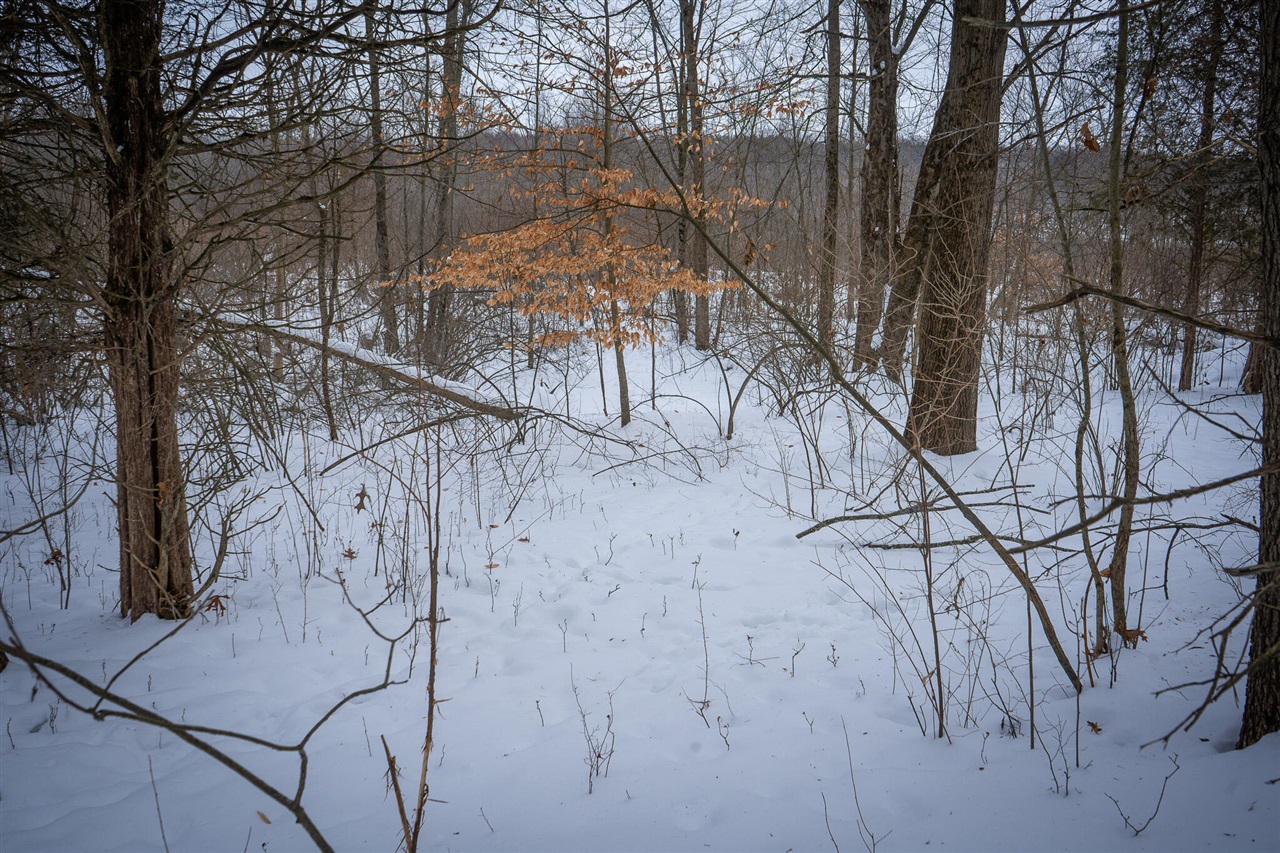 5100 Long Lake Road, Reading, MI, 49274-9787