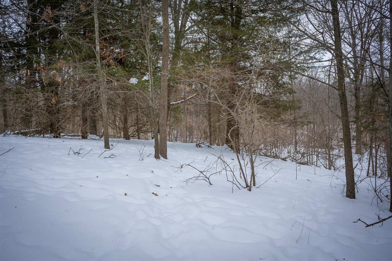 5100 Long Lake Road, Reading, MI, 49274-9787