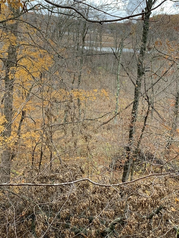 5100 Long Lake Road, Reading, MI, 49274-9787