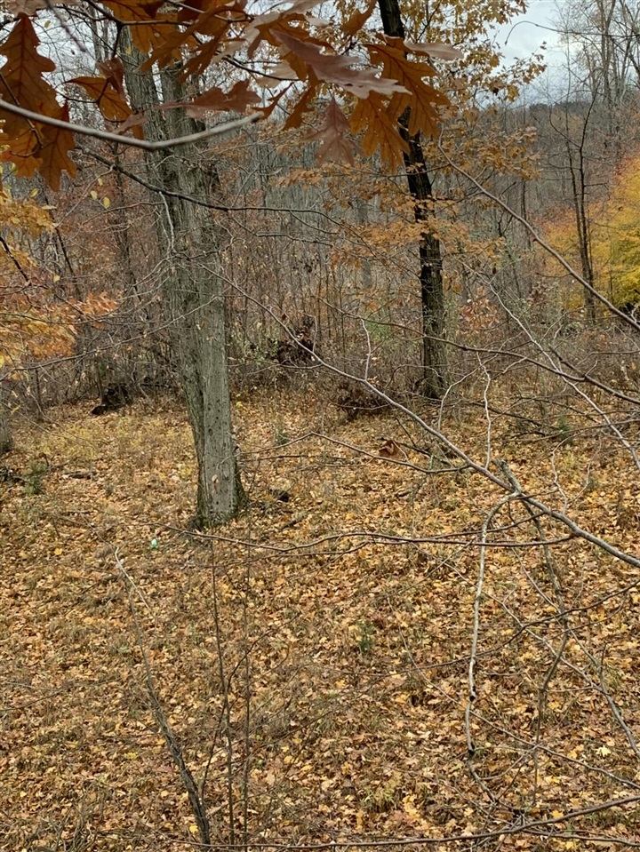 5100 Long Lake Road, Reading, MI, 49274-9787