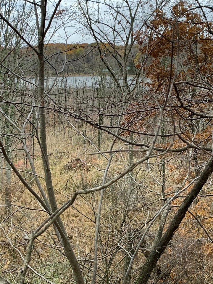 5100 Long Lake Road, Reading, MI, 49274-9787