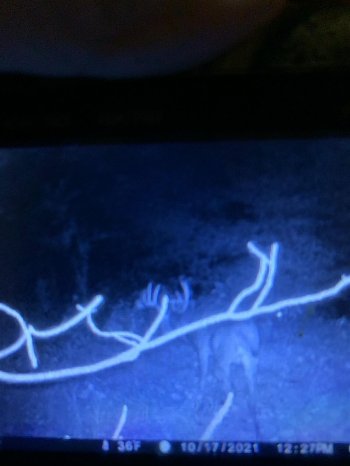 5100 Long Lake Road, Reading, MI, 49274-9787