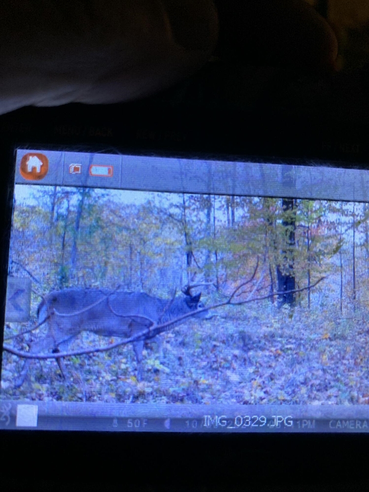 5100 Long Lake Road, Reading, MI, 49274-9787