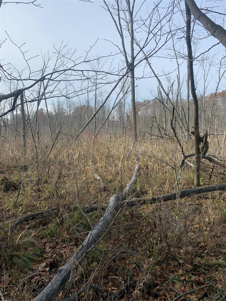 5100 Long Lake Road, Reading, MI, 49274-9787