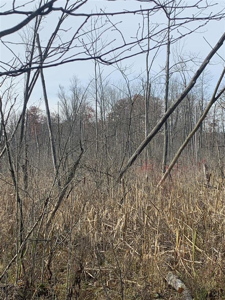 5100 Long Lake Road, Reading, MI, 49274-9787