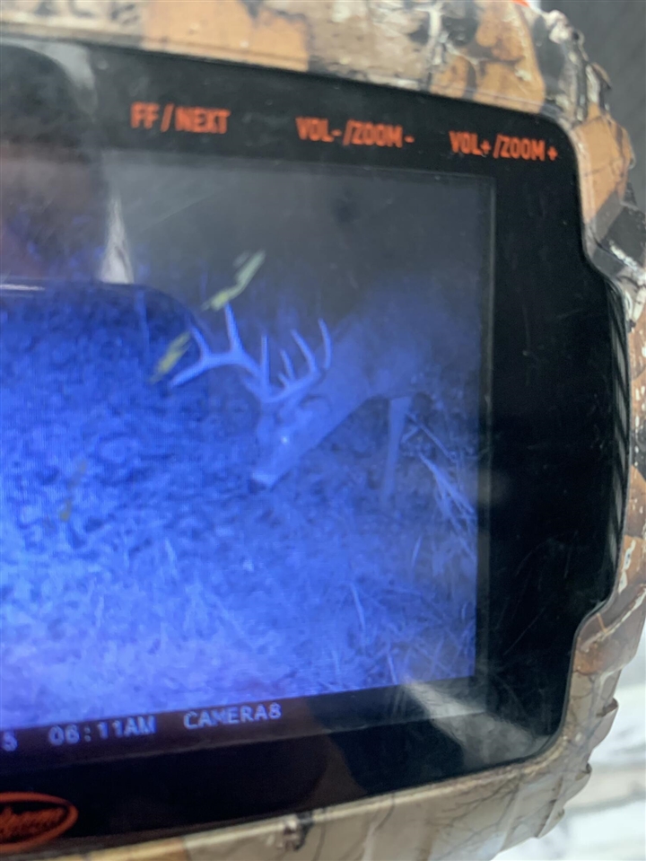 5100 Long Lake Road, Reading, MI, 49274-9787