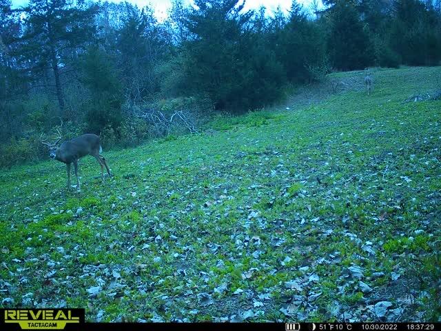 5100 Long Lake Road, Reading, MI, 49274-9787