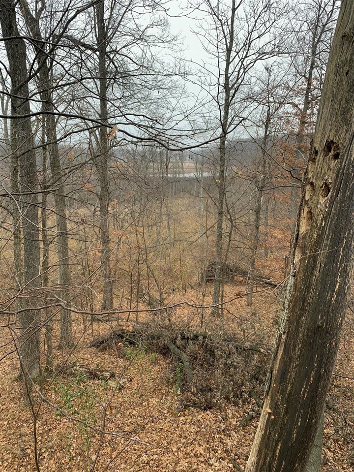 5100 Long Lake Road, Reading, MI, 49274-9787