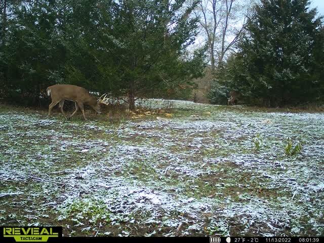 5100 Long Lake Road, Reading, MI, 49274-9787