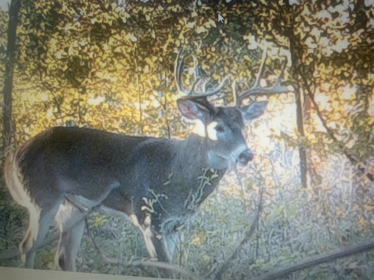 5100 Long Lake Road, Reading, MI, 49274-9787