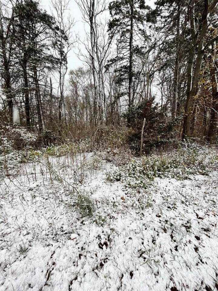 Homes for sale in Saint Joseph, MI | 0 Red Arrow Hwy, Saint Joseph, MI 49085 | MLS# 70514981