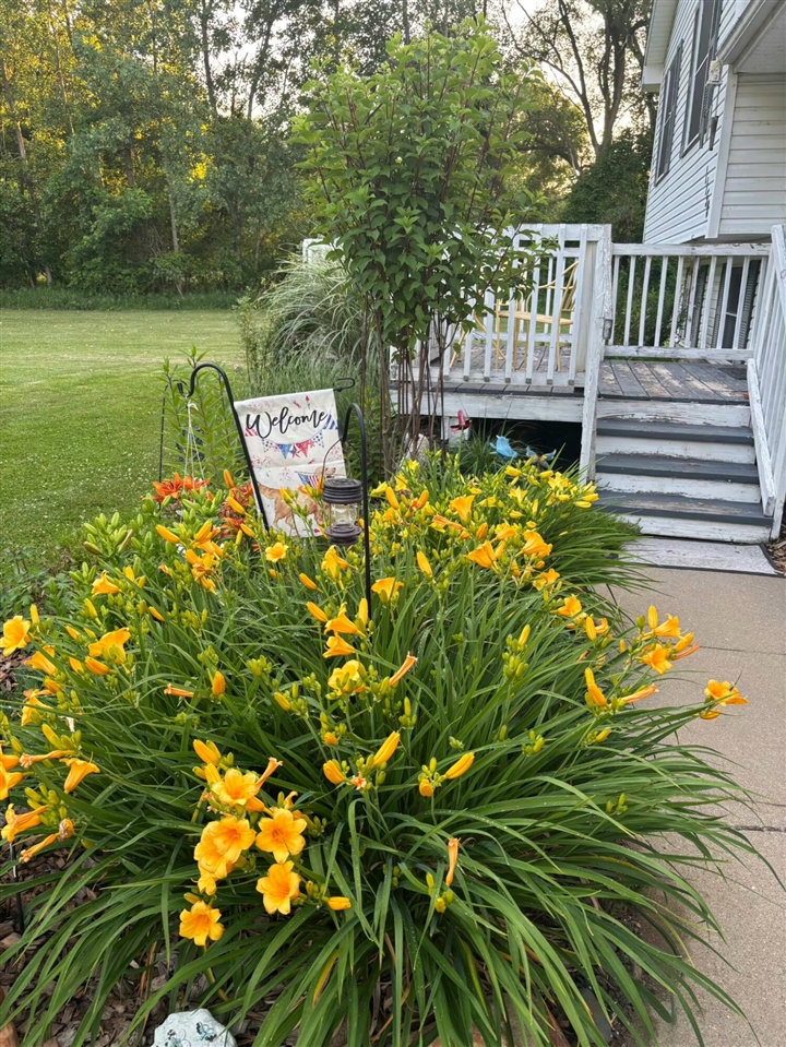 1150 Losey Road, Rives Junction, MI, 49277-9762