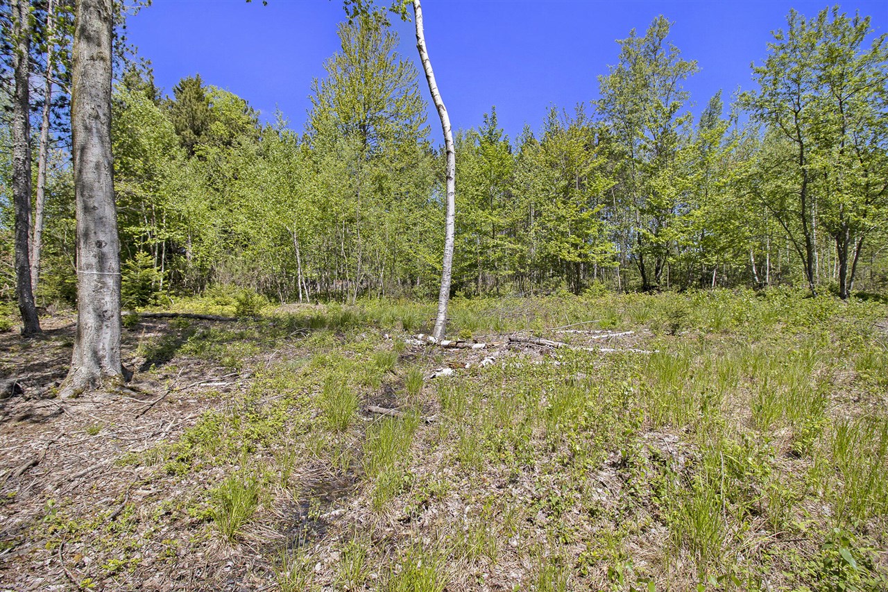 Lot 35/36 Pine Ridge Drive, Ludington, MI, 49431