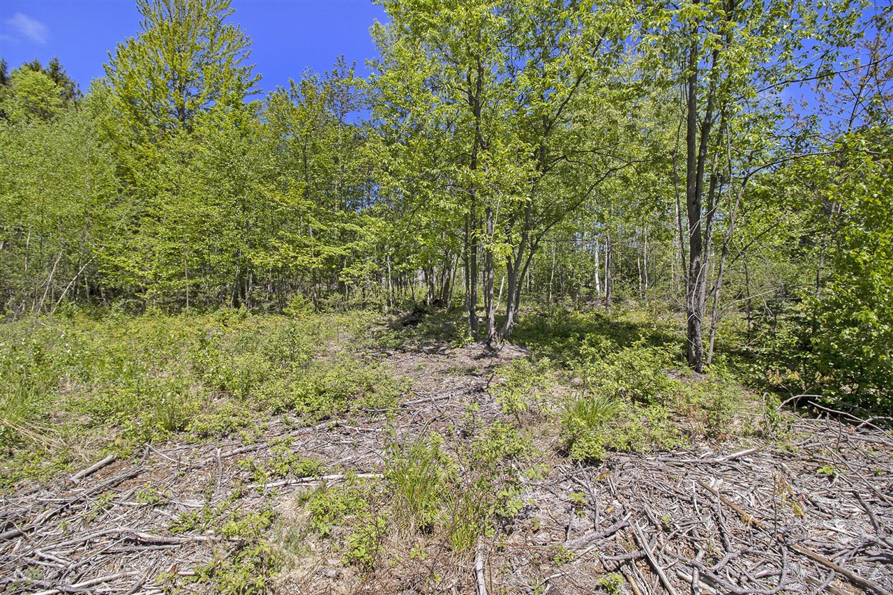Lot 35/36 Pine Ridge Drive, Ludington, MI, 49431