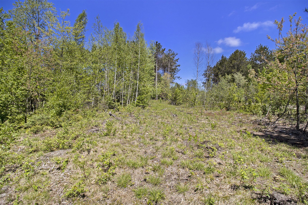 Lot 35/36 Pine Ridge Drive, Ludington, MI, 49431