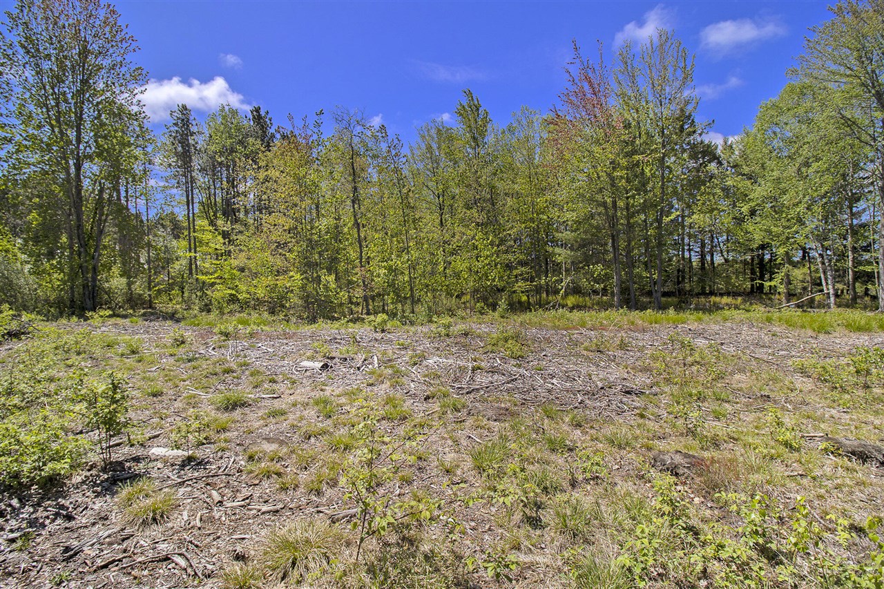 Lot 35/36 Pine Ridge Drive, Ludington, MI, 49431