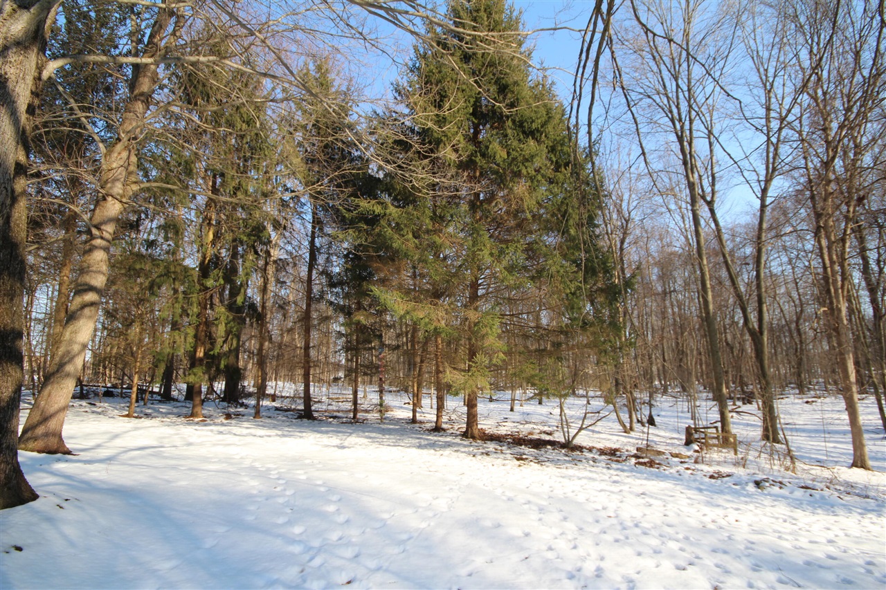 Mendon, MI, 49072-9622