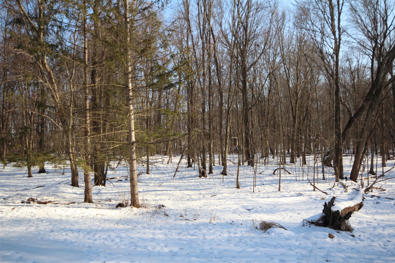 Mendon, MI, 49072-9622