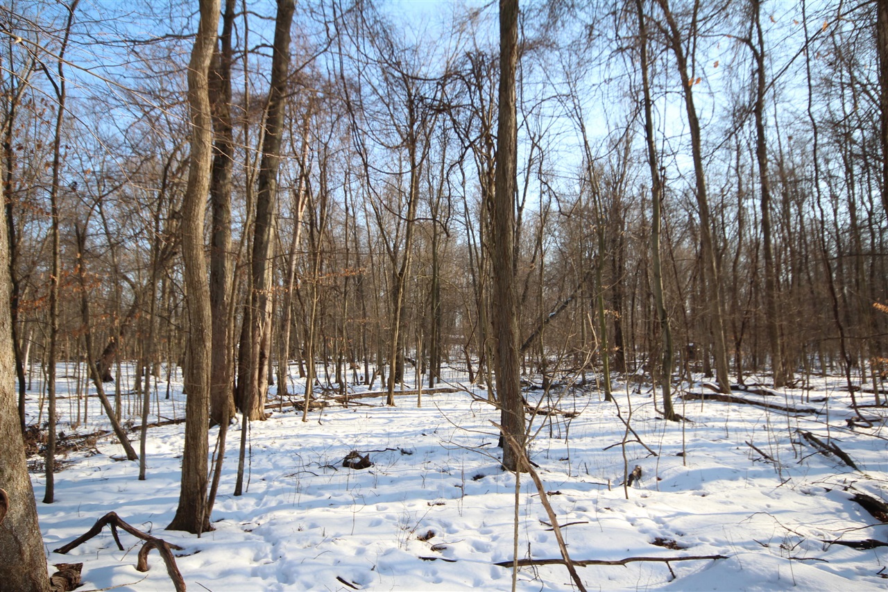 Mendon, MI, 49072-9622