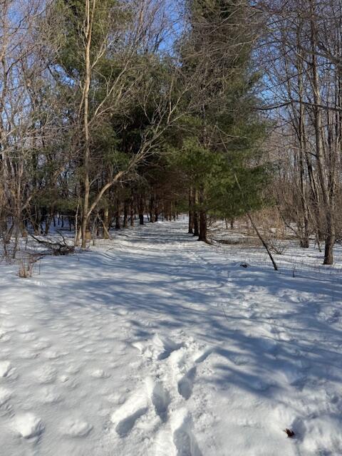 Photo of property for sale at Warner Road, Laingsburg MI 48848