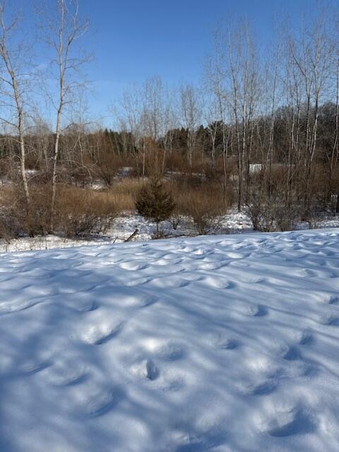 Warner Road photo 13
