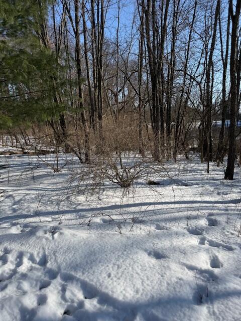 Warner Road photo 3